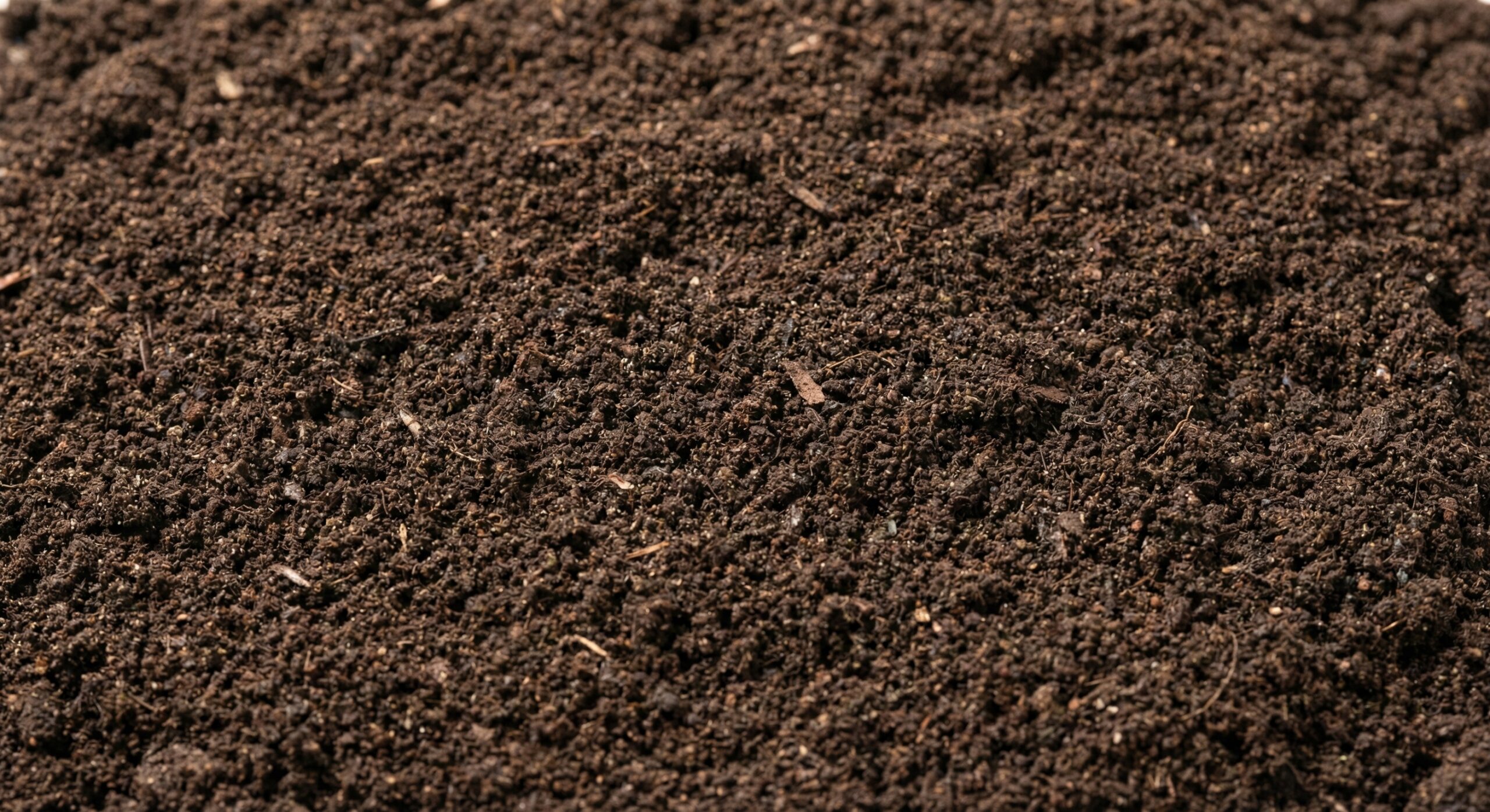 Topsoil